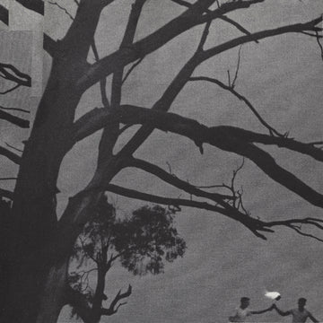 Beneath the Trees