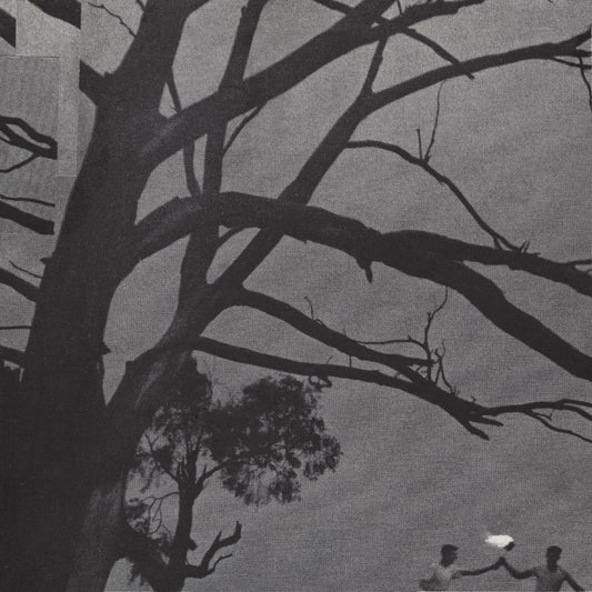 Beneath the Trees