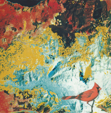 Cardinal