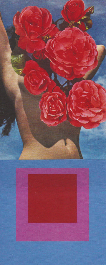 Feminine Freedom