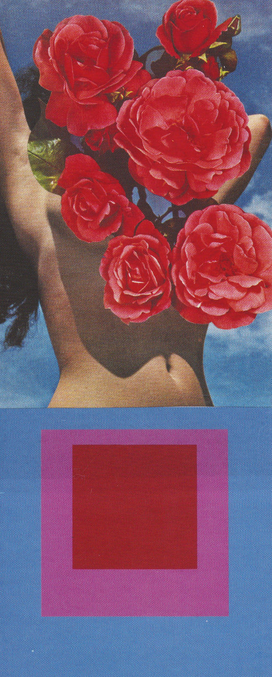 Feminine Freedom