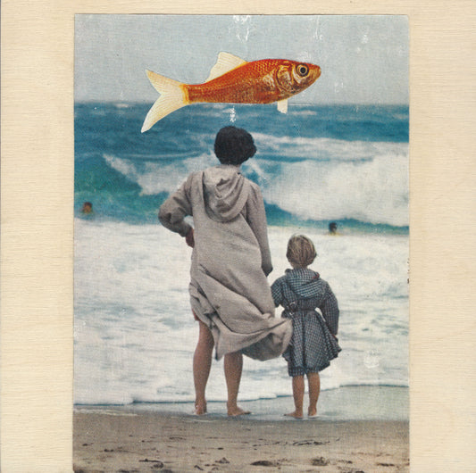 Fish Out of Water
