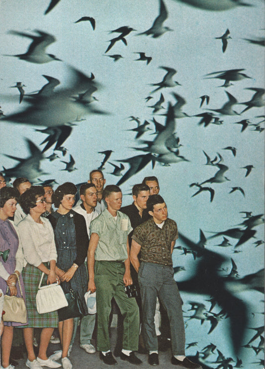 Migration