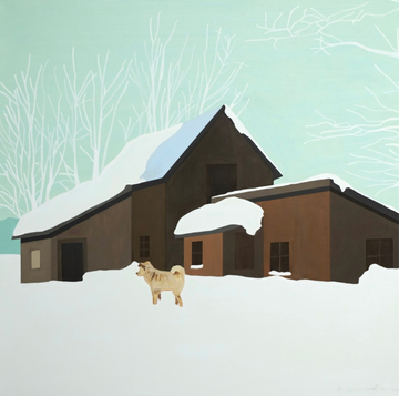 Snowy Cabin