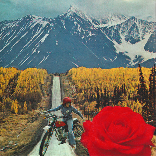 Stop and Smell the Roses
