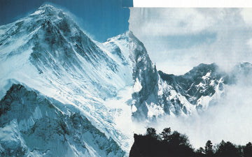 Synonym Summit