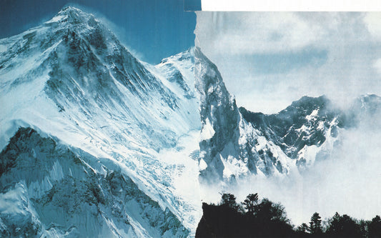 Synonym Summit