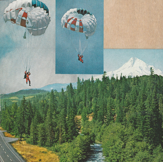 Take the Leap