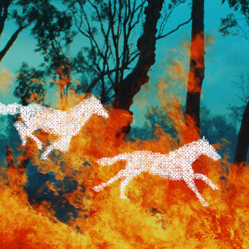 Year of the Horse